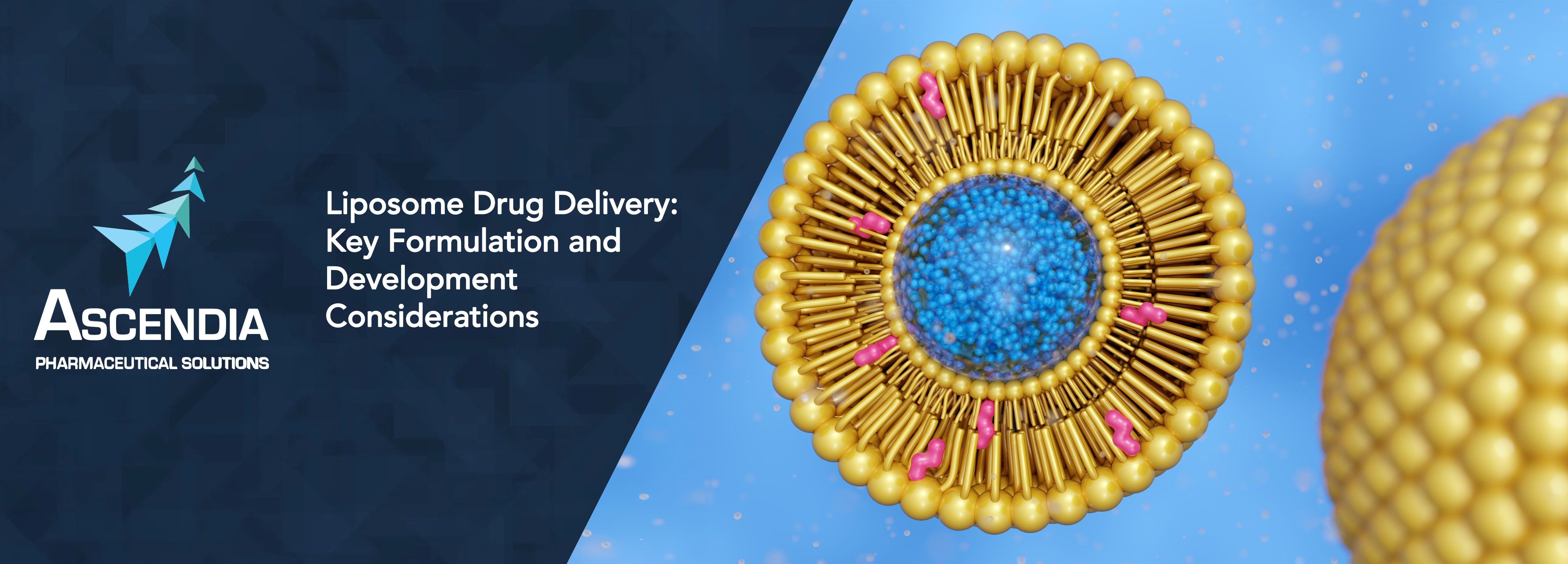 ASC-Blog_Thumb-2026-08b-Liposome Drug Delivery