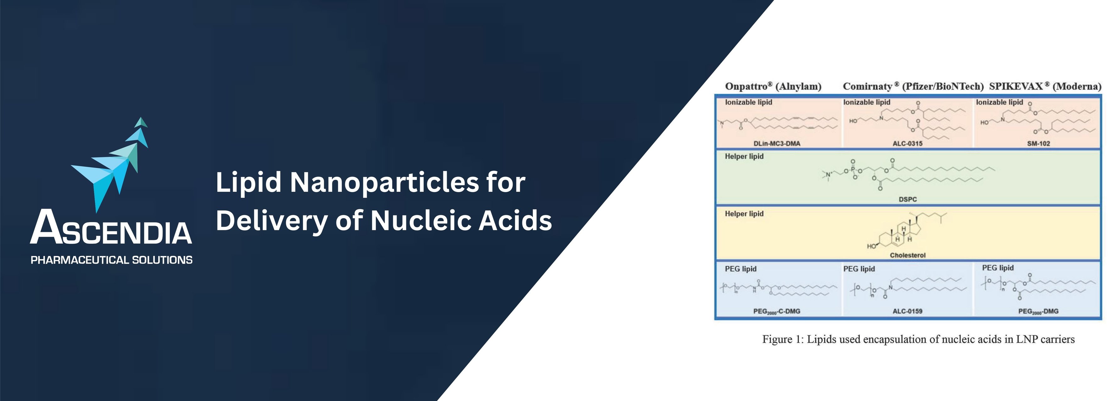 Lipid Nanoparticles for Delivery of Nucleic Acids