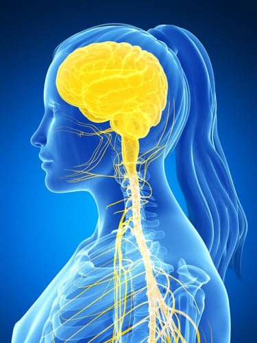 CNS