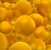 emulsol