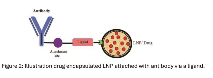 LNPs_ADC Blog- figure 2 (002)