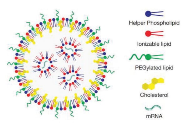 LNPs_Nucleic acid