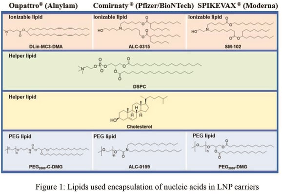 LNPs_Nucleic acids_figure 1