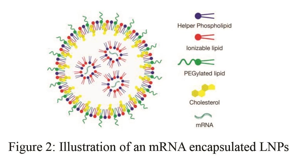 Lipid Nanoparticles for Delivery of Nucleic Acids