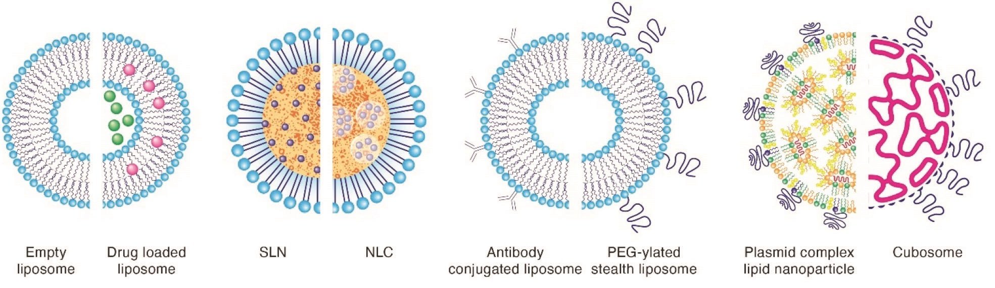 Lipidsol_Blog_figure 1