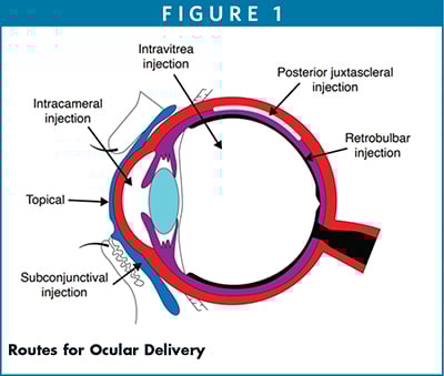 ocular delivery