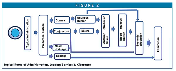 ocular routes of admin