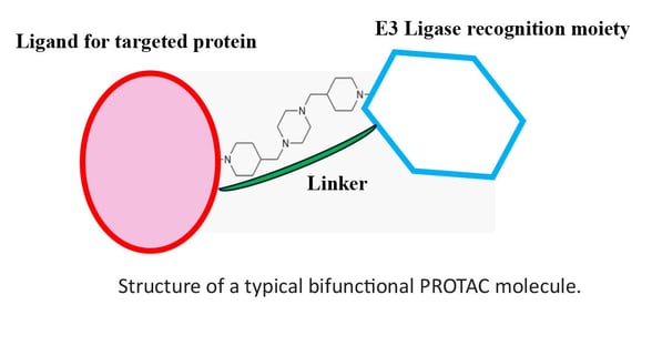 protac molecule figure